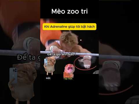 Đẳng cấp dã man 🙀