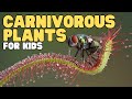 Carnivorous Plants and Their Adaptations