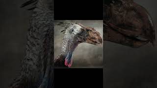 Terrifying Terrorbirds Unleashed: What If They Never Went Extinct?