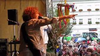 5. Annaberger Bauernmarkt 2008