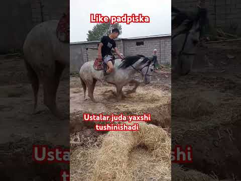 4 M ko'rildi bundan oldingisi#like #uzbekistan #rek #india