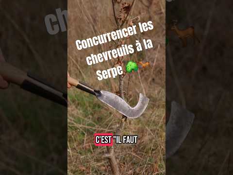 concurrencer les chevreuils grâce à la serpe #jardinage #jardin #foretjardin #permaculture