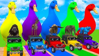 Long Slide Game With Cow Elephant Gorilla Hippopotamus Tiger 3d Animal Game Funny 3d Animals