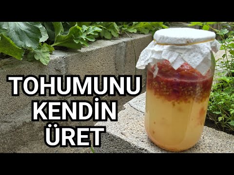 Tohumunu Kendin Üret
