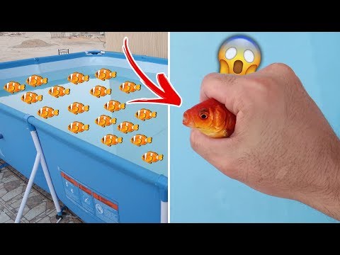 اشتريت اسماك حقيقية 🐟 | وحطيتهم في المسبح وسبحت معهم 🌊 (تجربه غير متوقعه !!😲)