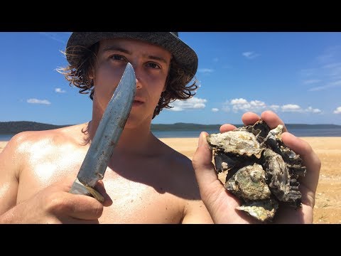 Collecting & Eating Fresh Oysters (Cast Netting & Spearfishing)