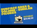 Scale Factors and Their Effects