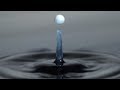 Understanding Water Striders and Surface Tension