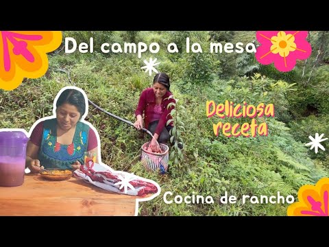 ✅️😀☔️Bajo la lluvia fui con mi esposo a sacar papas para nuestra comida 😀