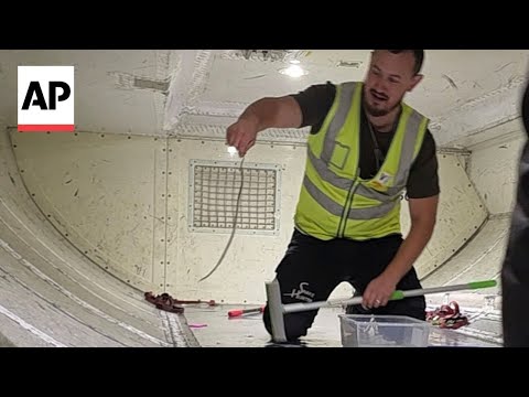 YouTube video thumbnail: Snake on a Plane Delays a Flight in Australia