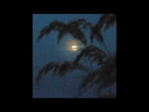 tyla - to last (remix feat. dj maphorisa & young stunna) [slowed + reverb]