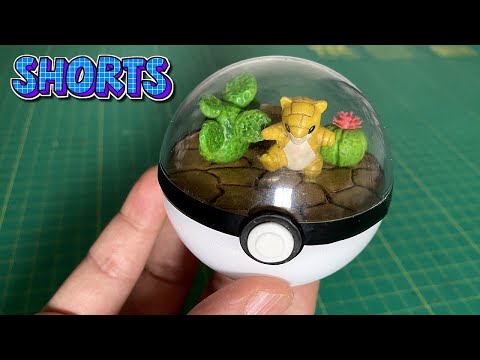 Paraíso Pokémon parte 2.