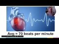 Exploring Blood Vessels and Heart Anatomy