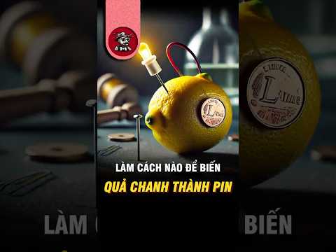 Quả Chanh Có Thể Tạo Ra Điện Như Thế Nào? ⚡🍋 #shorts #kiếnsĩ
