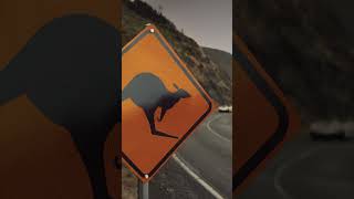 The Apex Predator Returns: Audi R8 LMP “Crocodile”