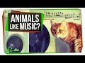 Understanding Musicality in Animals