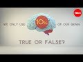 Understanding Brain Myths and Energy Efficiency