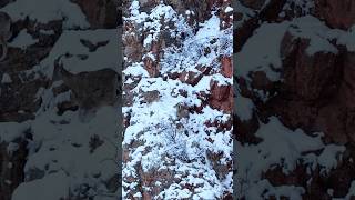 Добро пожаловать в Армению. #горныйкозлик #гидвармении #джиптурыпоармении #турыпоармении #турывгоры