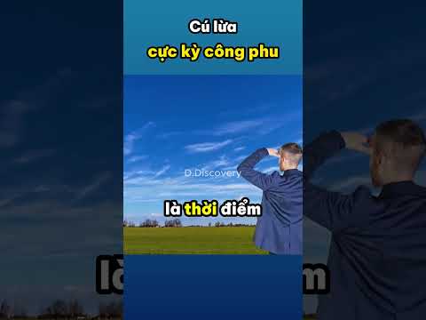 Cú lừa cực kỳ công phu