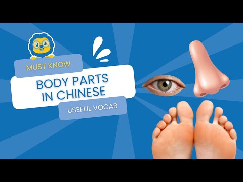 Body Parts in Chinese 💪 The SIMPLE guide to Body Parts in Mandarin