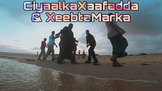 SIDAADII LEE TAHAYEE | QADIIMI XUSUUS CIYAALKA XAAFADDA IYO XEEBTA MARKA