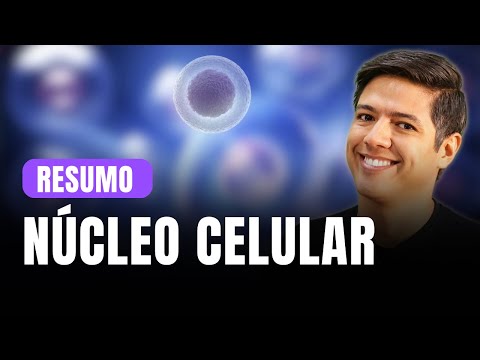 NÚCLEO CELULAR - RESUMO PARA PROVA - Prof. Kennedy Ramos