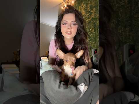 Why he looks so traumatised ๐ฅน #chiara #chiarasam #shorts #trending #tiktok #goals #connor