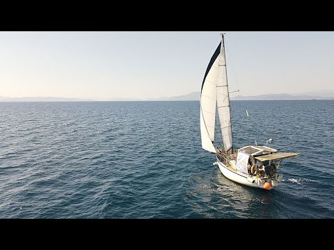 YouTube video thumbnail: Meet the Experts Sailing to 26 Greek Islands to Protect Endangered Mediterranean Monk Seals