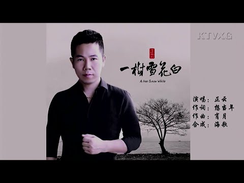 一树雪花白-正云-伴奏 KARAOKE