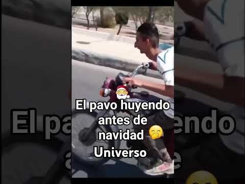 El pavo🦃 Huyendo De La Navidad 🎄😁😁😁💯