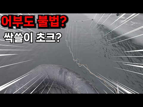 민물고기 싹쓸이한다는 불법 초크에 대해서 말씀드리겠습니다.