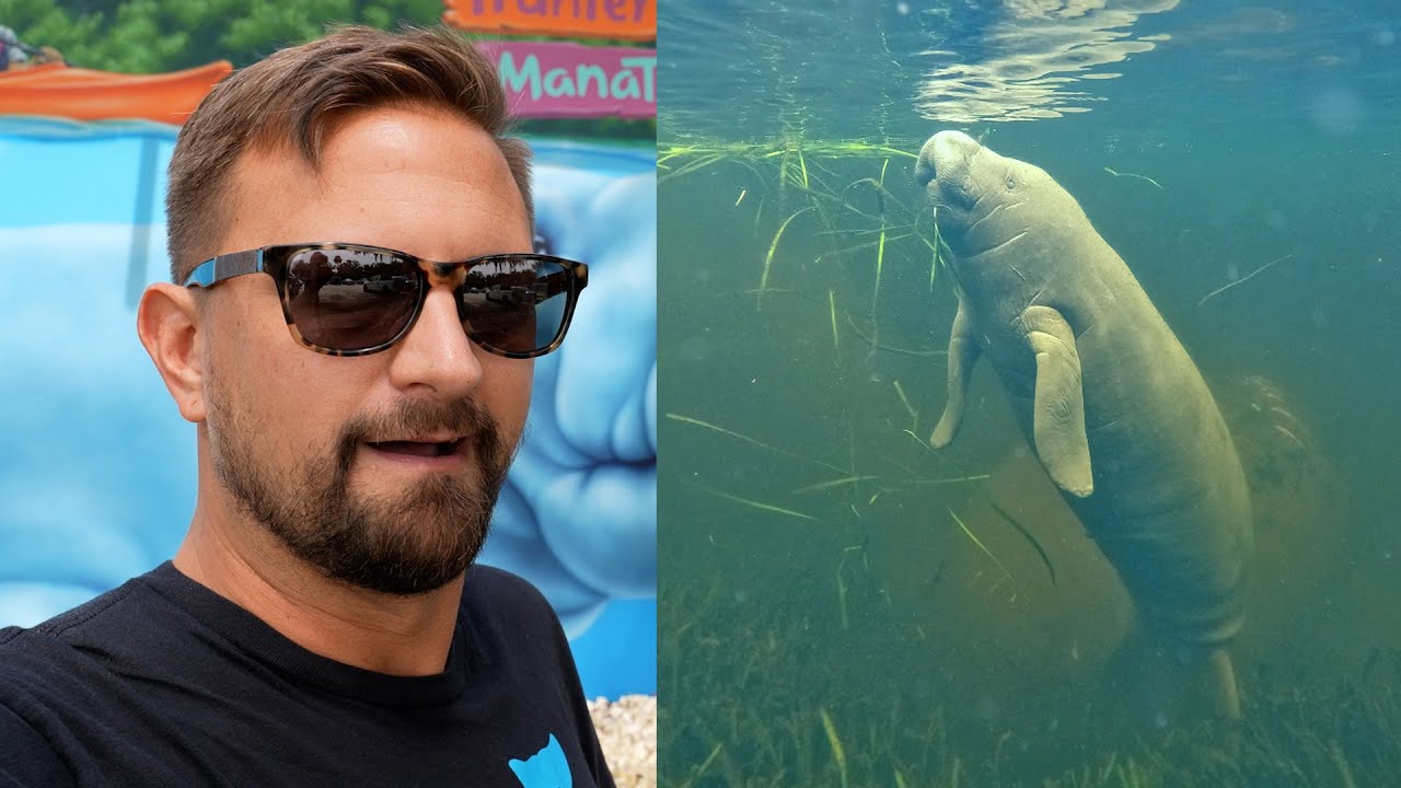 A Real Florida Adventure! Swimming With Manatees, Homosassa Springs & Air Boating With Alligators! The Tim Tracker