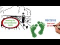 Resource Management in Dairy Production