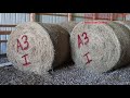 Hay Management and Feeding Strategies