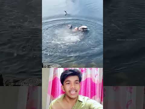 #youtube #funny #vlogwithsohelvillagelifestyleinbangladeshbeautiful #comedymovies