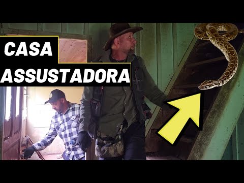 Cobra nos atacou na CASA ABANDONADA