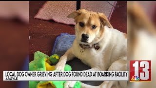 New details emerge over deaths of 21 dogs at Argyle boarding facility