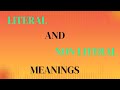 Literal and Non-Literal Language Concepts
