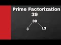 Prime Factorization Concepts and Problems