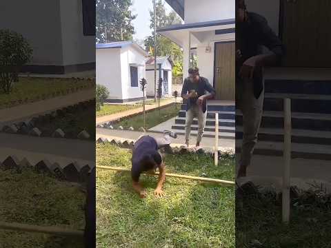 Epic Funny Video 😂😂😂 #shorts #viralshorts #comedy #funnymoments #fails #humor