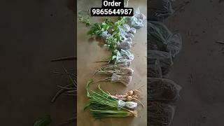 இன்றைய கொரியர் #shorts #shortsfeed #garden #harbal #gardening #packing