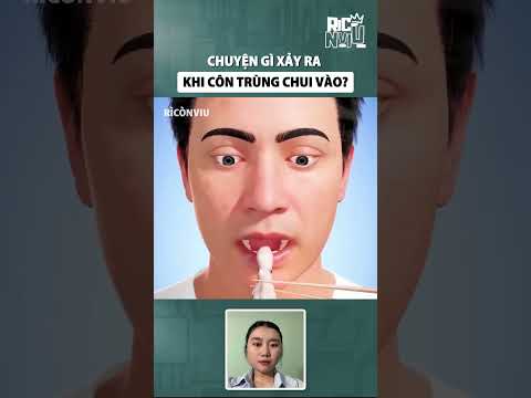Chuyện gì xảy ra khi côn trùng chui vào?