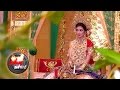 Vita's Wedding Celebration Insights