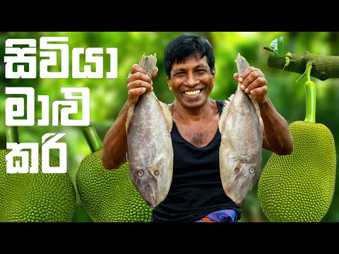 සිවියා මාළු කරිය | Cooking a Rare Sri Lankan Fish Curry to Share with Villagers