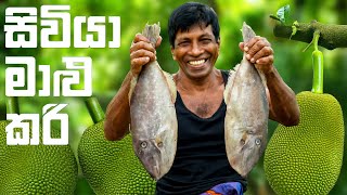 සිවියා මාළු කරිය | Cooking a Rare Sri Lankan Fish Curry to Share with Villagers