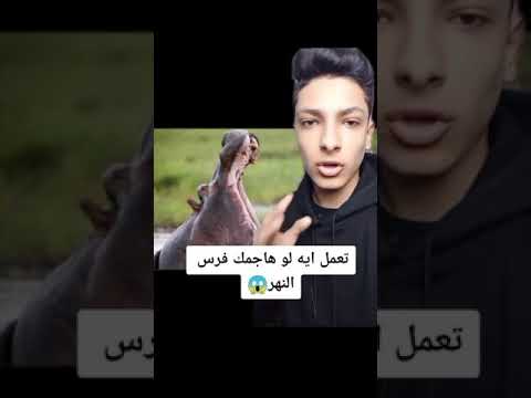ماذا تفعل لو هاجمك فرس النهر ؟☠️⚠️