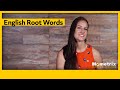 Understanding Roots, Prefixes, and Suffixes