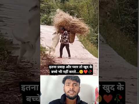 इतना प्रवाह और प्यार तो खुद के बच्चे भी नहीं करते ❤️❤️🙏 | #trendingreels #youtubeshorts