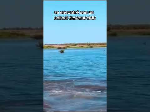 #naturaleza #viralvideo