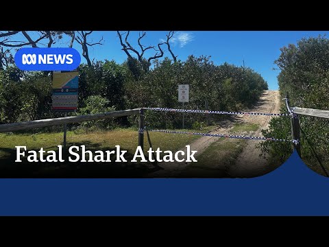 YouTube video thumbnail: Tourist Killed in NSW Shark Attack, Another Seriously Injured
